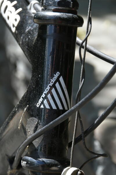 head tube logo