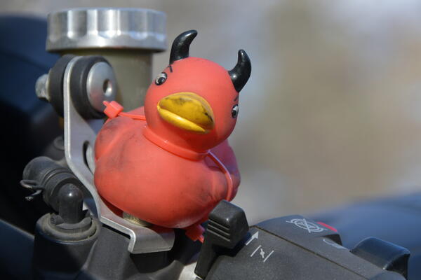 Daemon Duckie